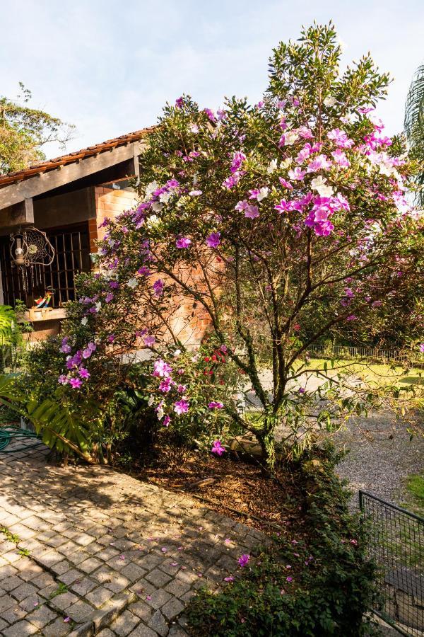 Hotel Gajah Joinville Exterior foto